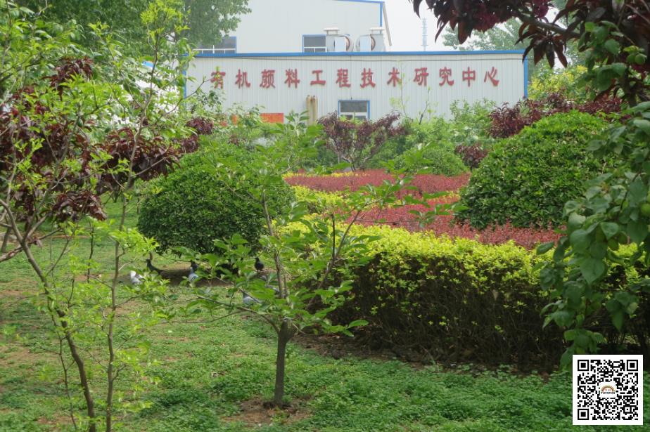 精东黄色视频颜料色粉