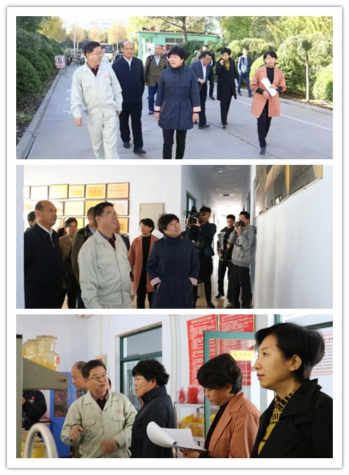 德州市马副市长莅临颜料厂家|山东精东影业传媒APPV16