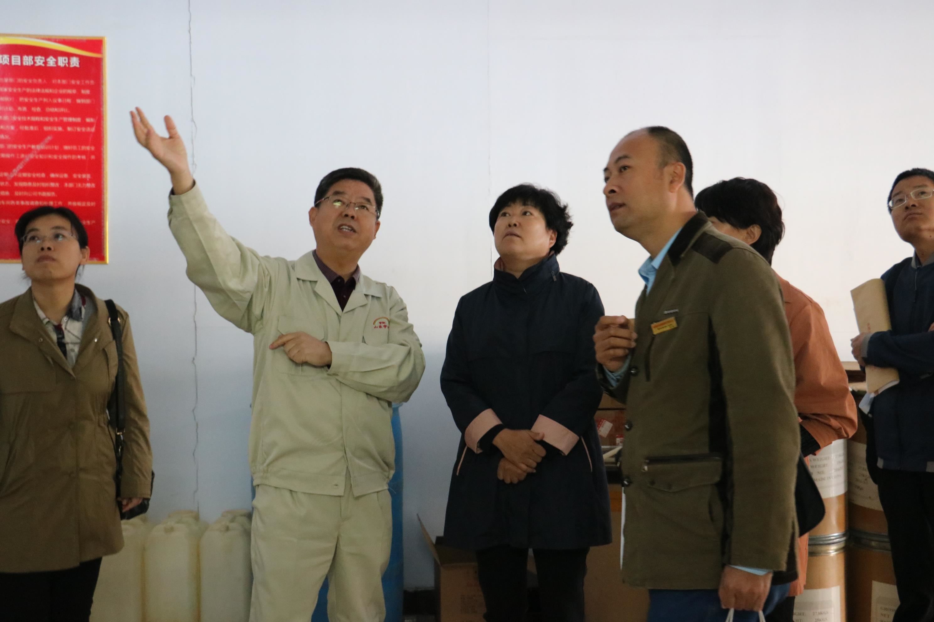 德州市马副市长莅临颜料厂家|山东精东影业传媒APPV16