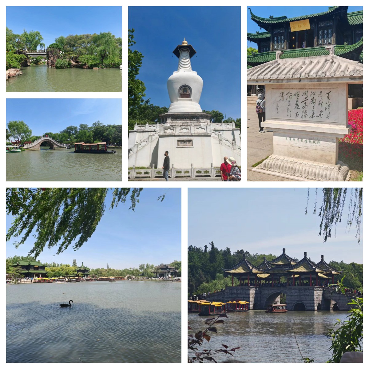 感恩于心，荣耀前行|精东影业传媒APPV16颜料江南之旅圆满结束！